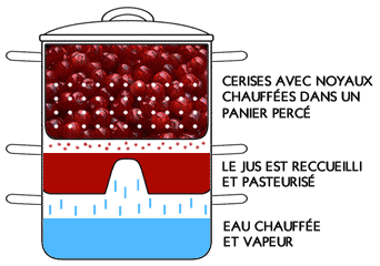 Jus de cerise à l'extracteur de jus vapeur